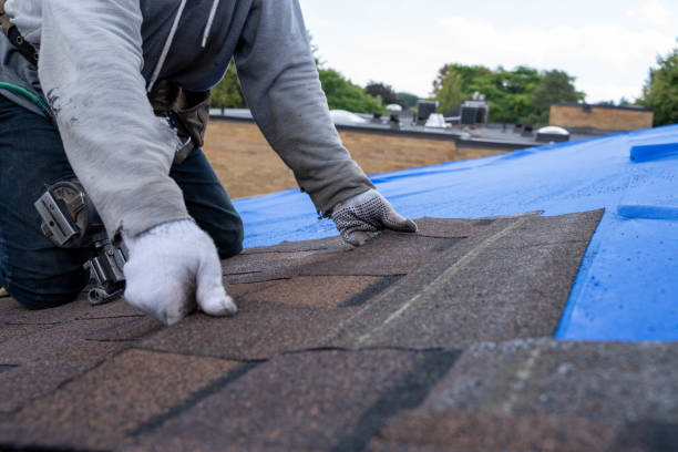Quick and Trustworthy Emergency Roof Repair Services in Coaling, AL