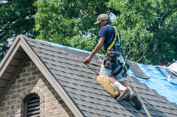 Residential Roof Replacement in Coaling, AL