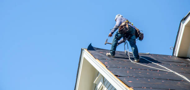 Best Gutter Installation and Roofing  in Coing, AL